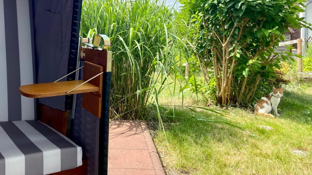 Ferienapartment Casa Heideblick Mit Sonnenterrasse & Garten Radeberg Eksteriør billede