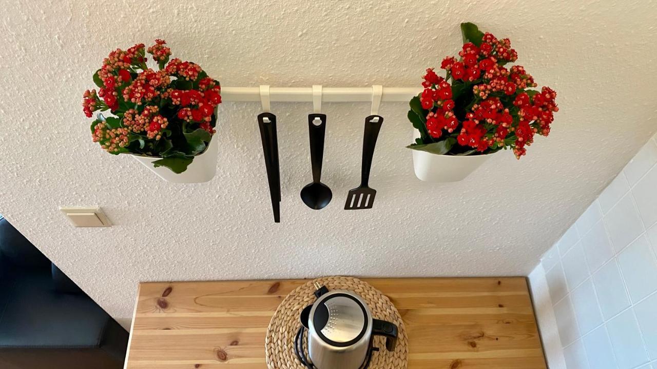 Ferienapartment Casa Heideblick Mit Sonnenterrasse & Garten Radeberg Eksteriør billede